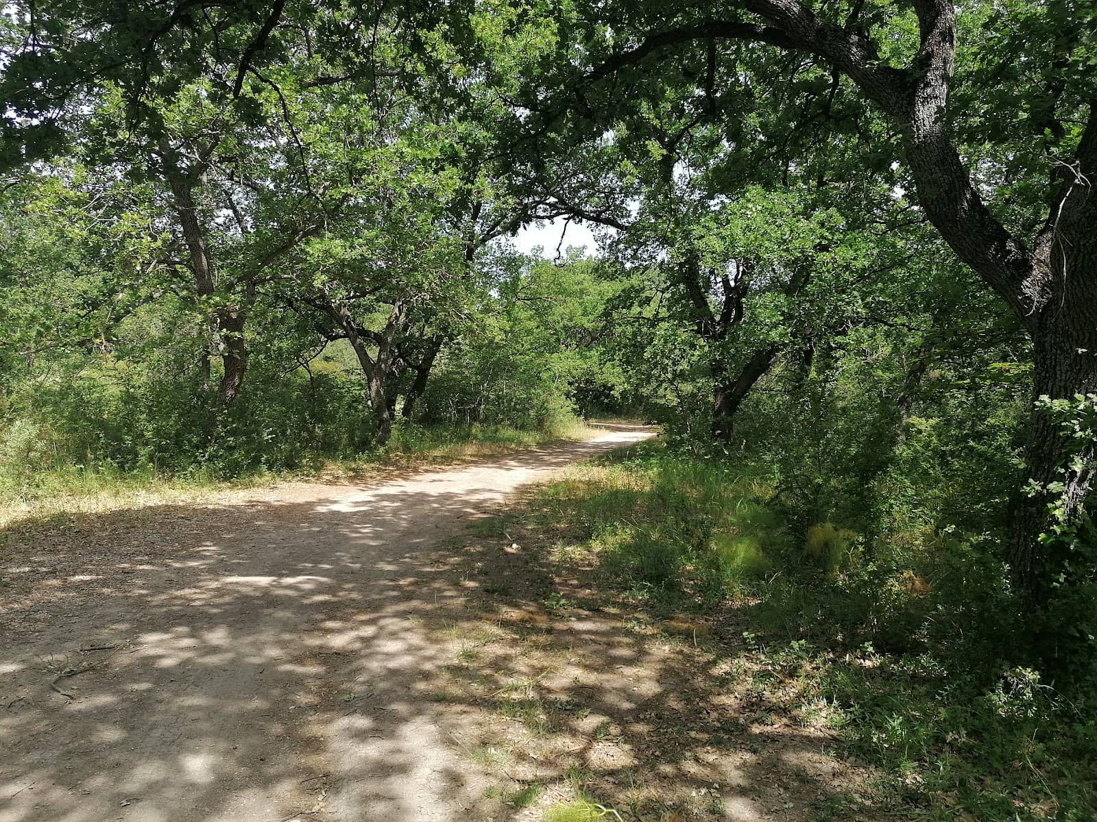 Picnic and Recreation Areas