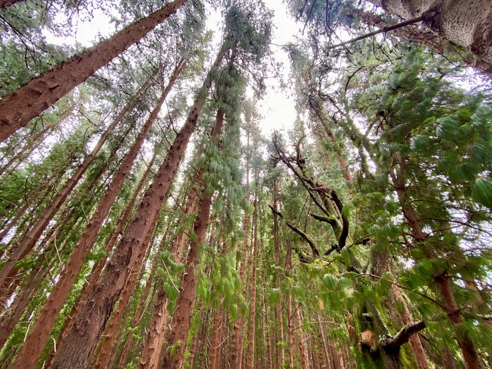 Vertical photo