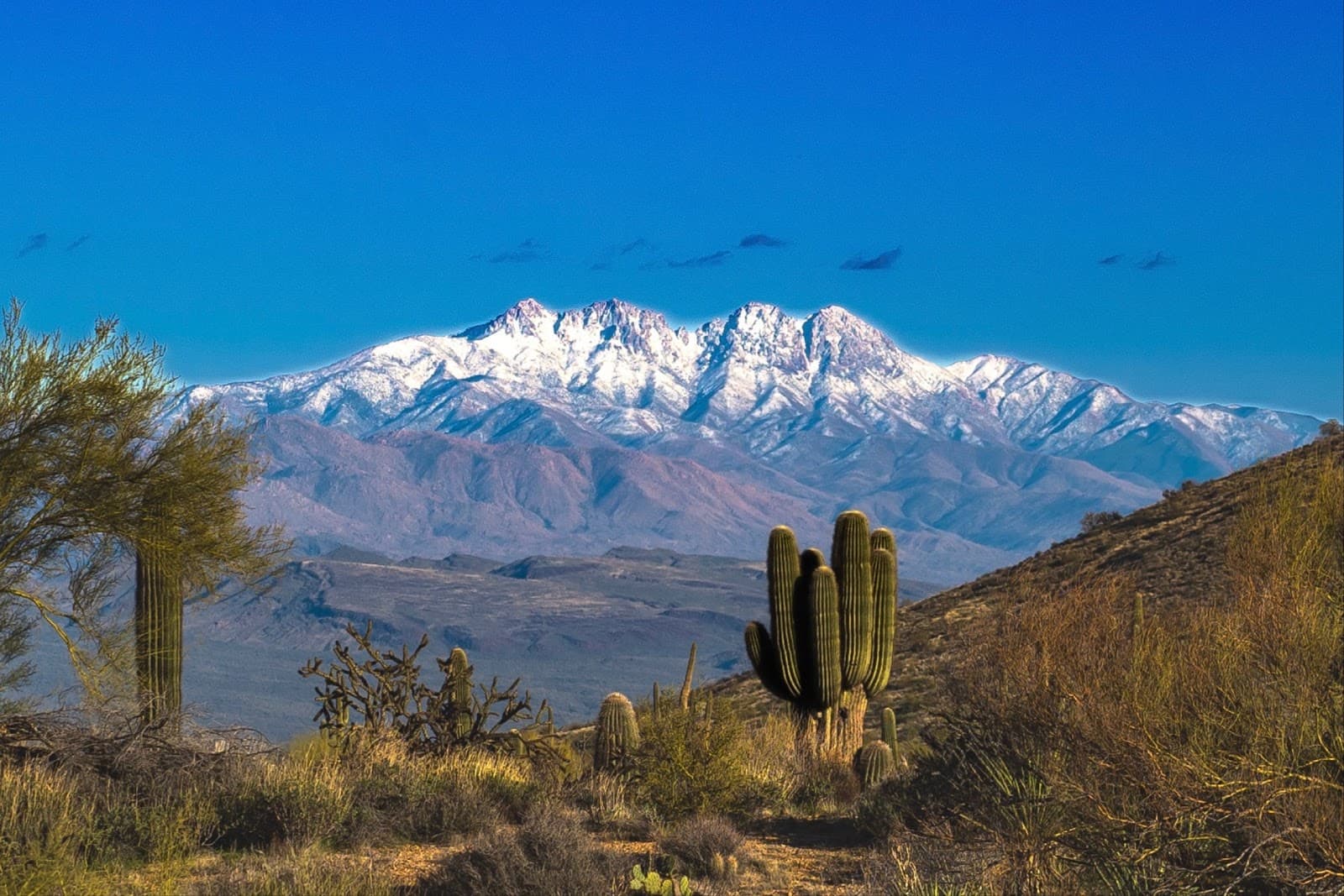 Four Peaks Wilderness - Image 1