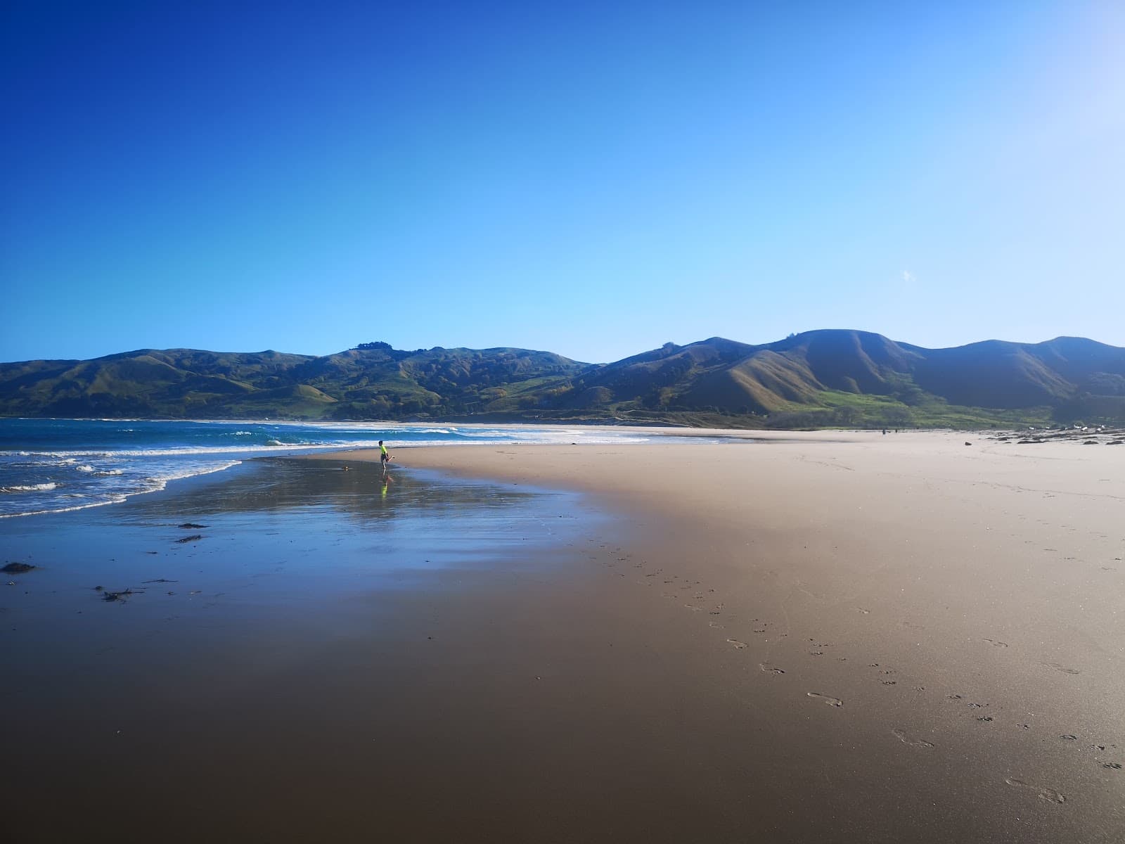 Te Tapuwae o Rongokako Marine Reserve - Image 1