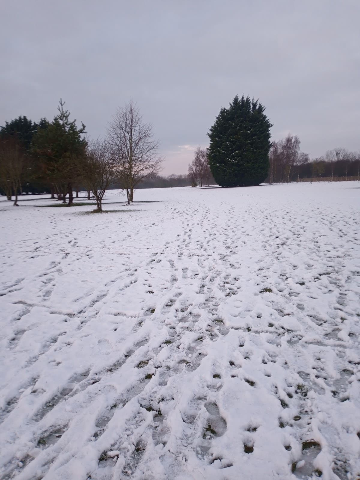 Perdiswell Park - Image 1