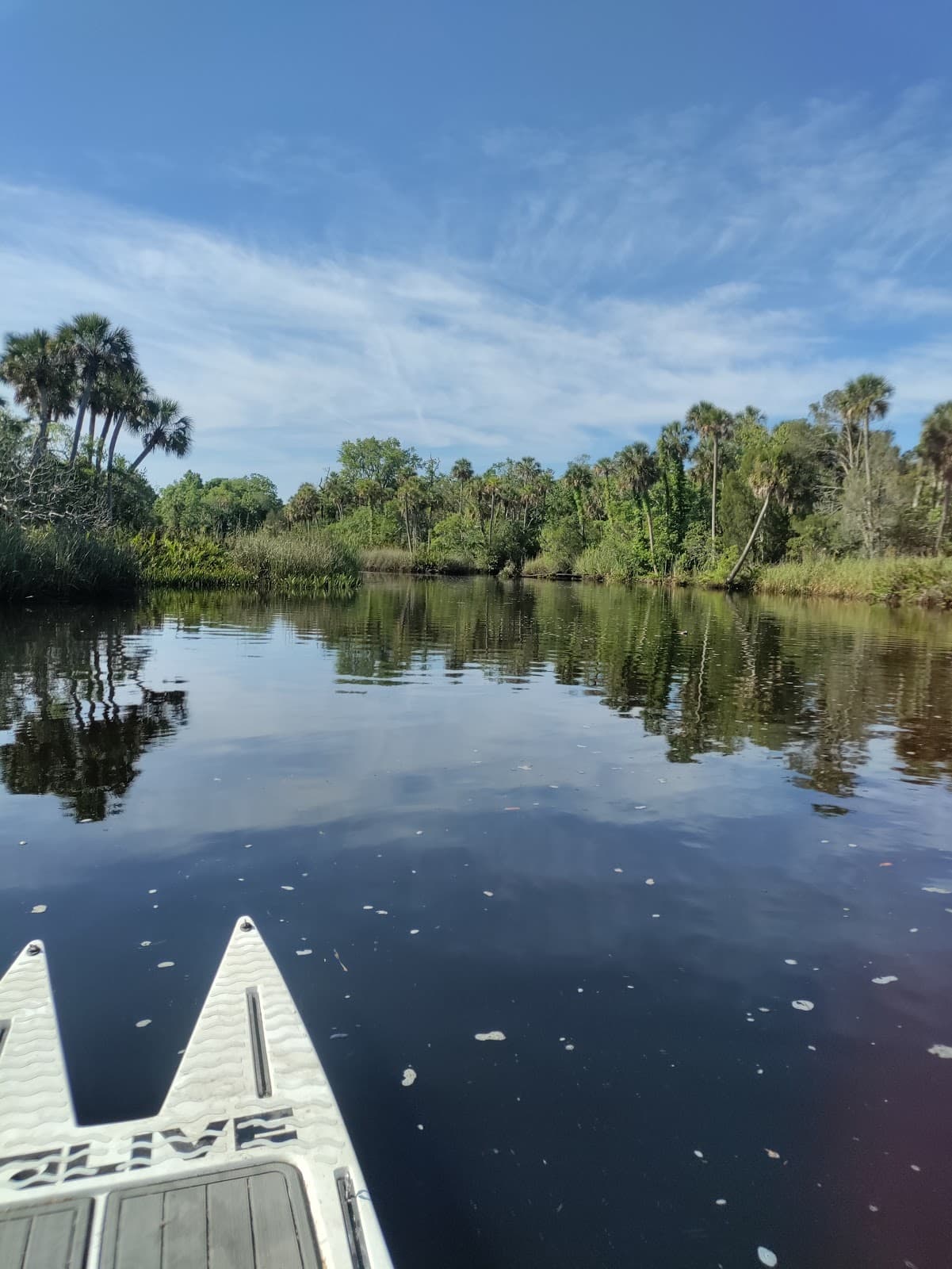 Pithlachascotee River Paddling Trail - Image 1