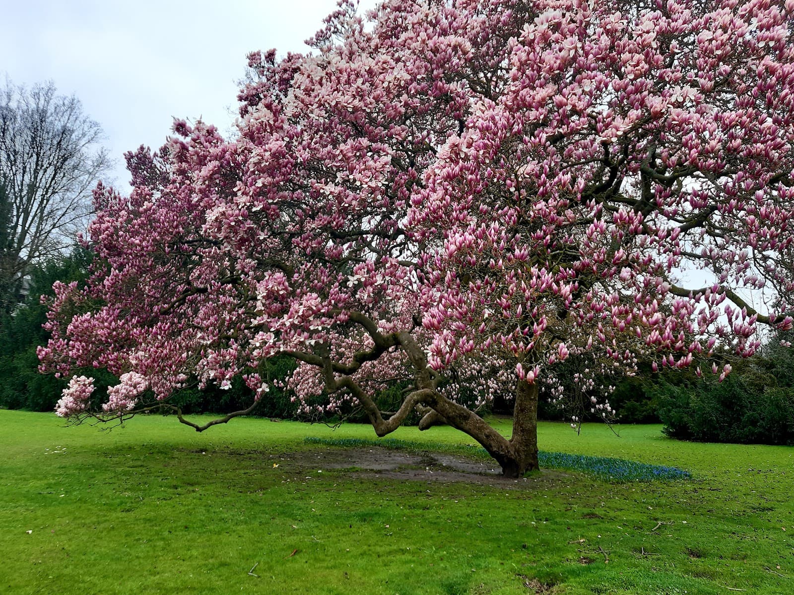 Stadtpark Bochum - Image 1