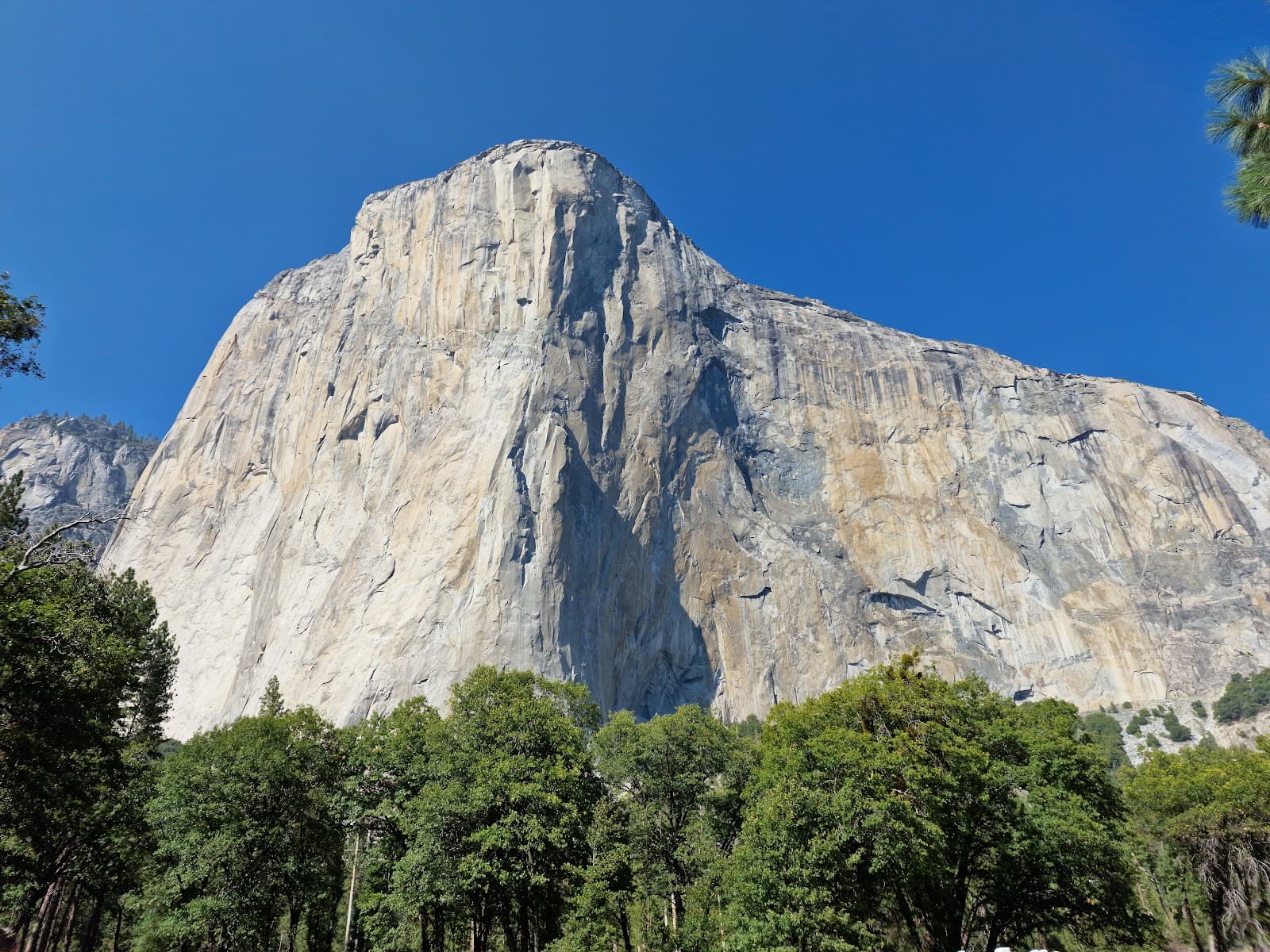 El Capitan Meadow Yosemite - Image 1