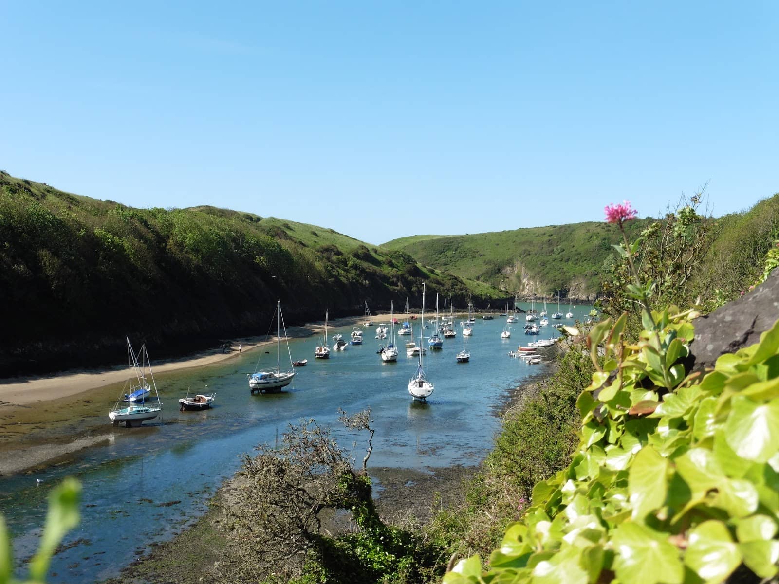 The Harbour Inn
