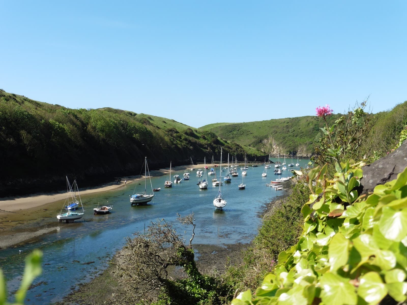 Solva Harbour and Village - Image 1