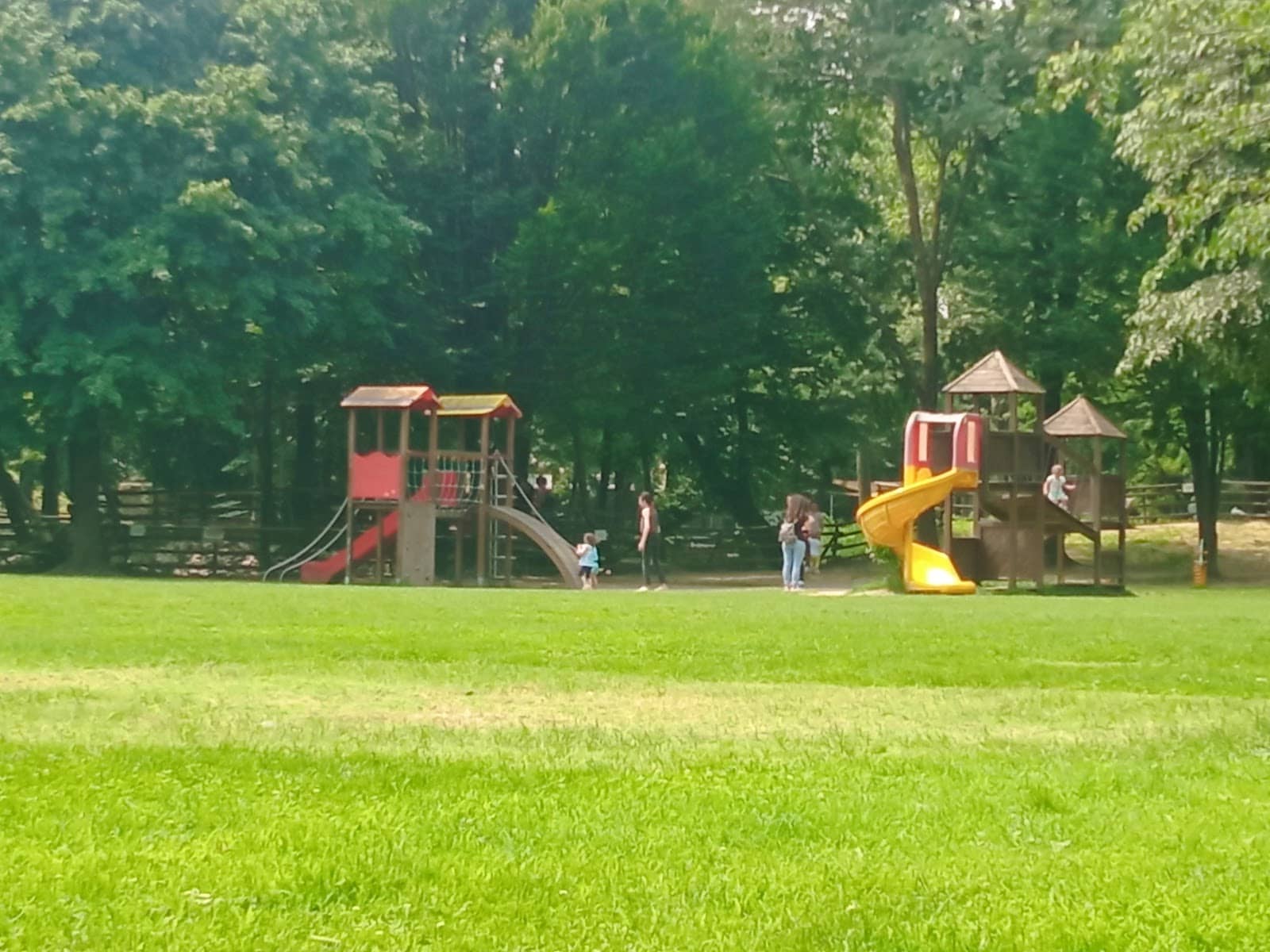 Family Fun Zone