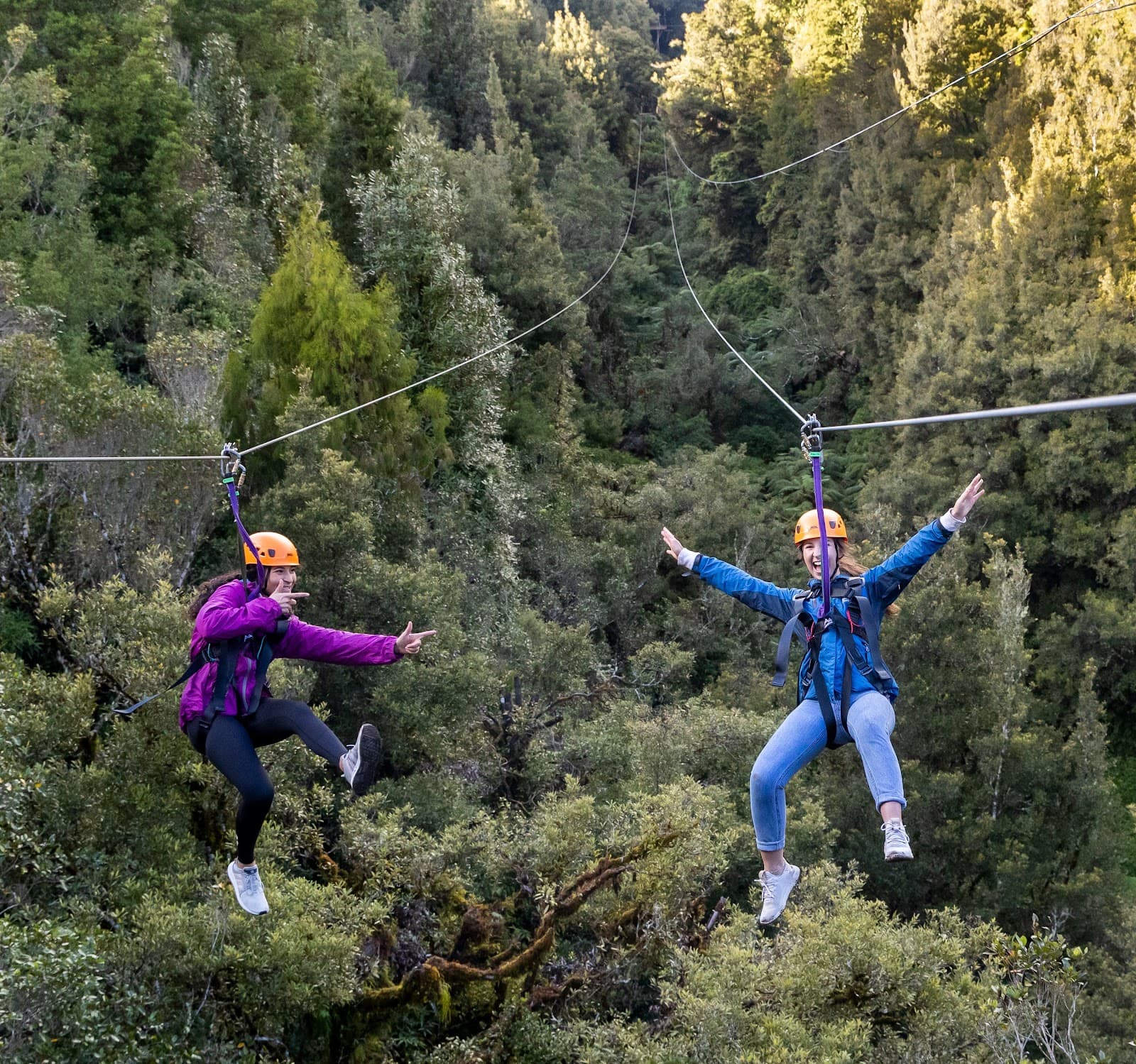 Rotorua Canopy Tours - Image 1