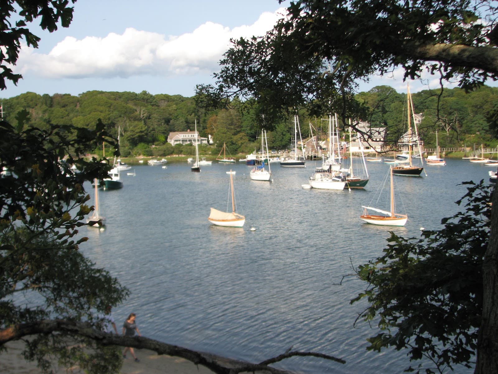 Quissett Harbor - Image 1