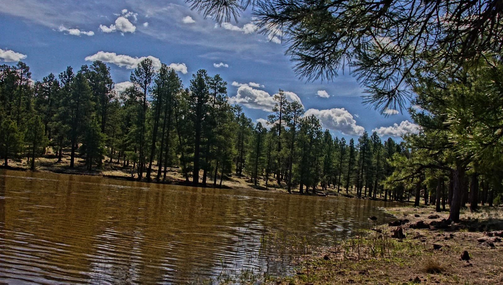 Kaibab Lake - Image 1