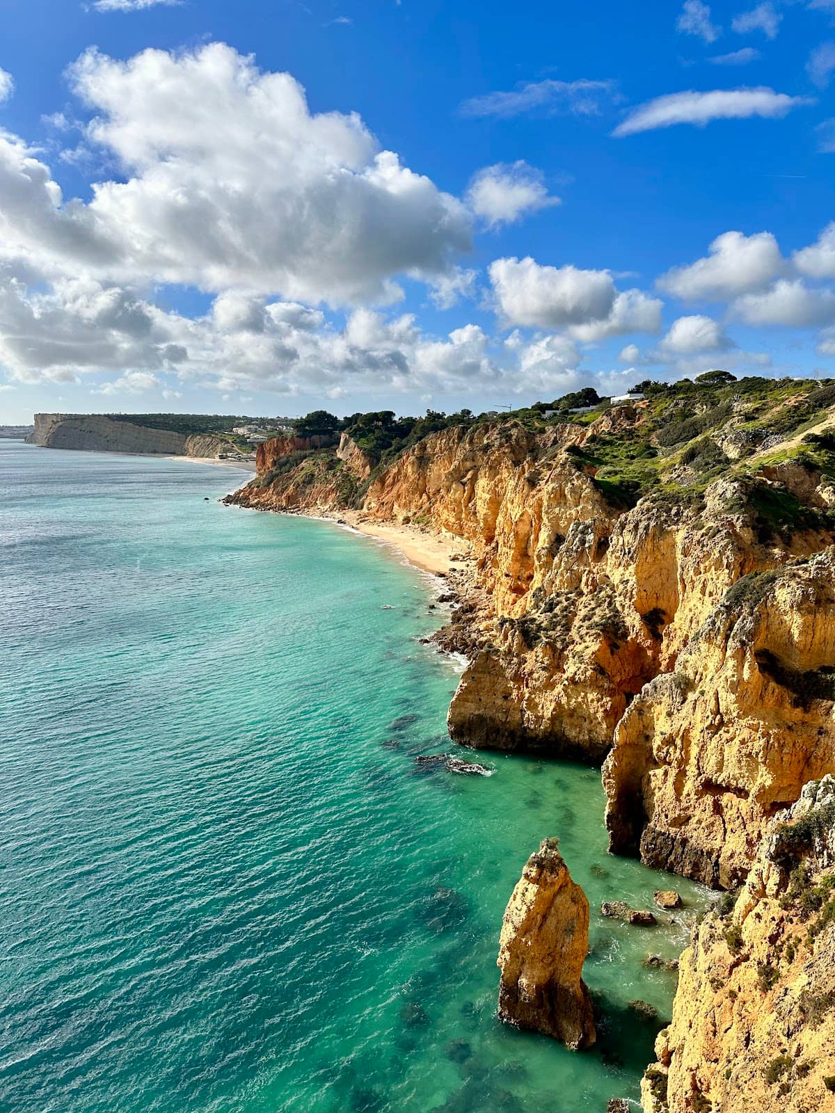 Tranquil Ocean Sounds