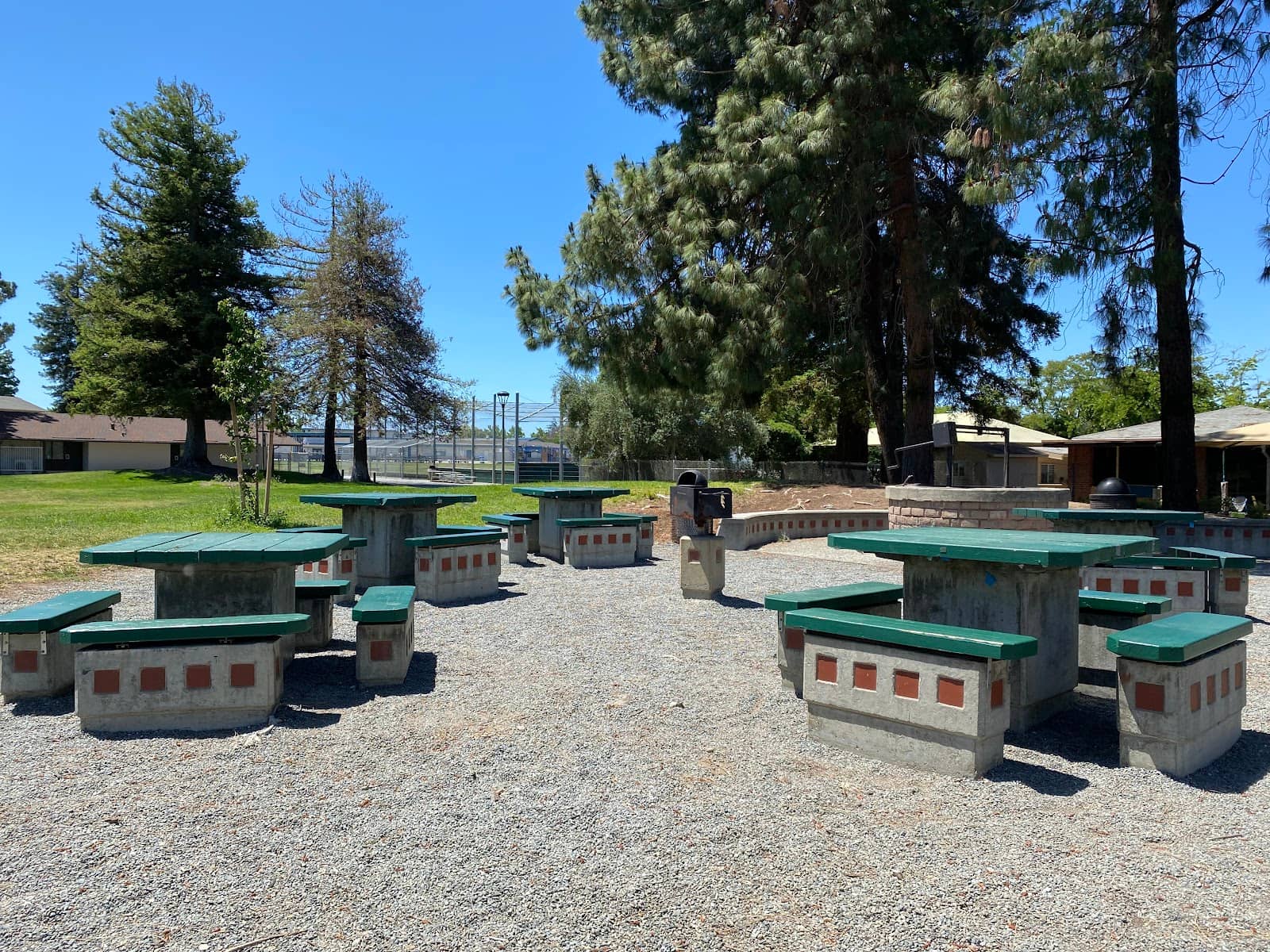 Tranquil Redwood Ambiance