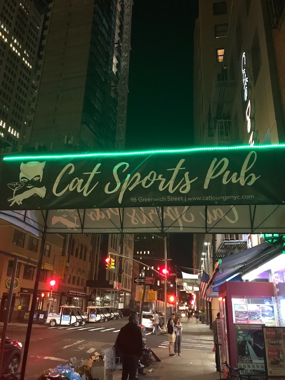 The Cat Lounge - Image 1