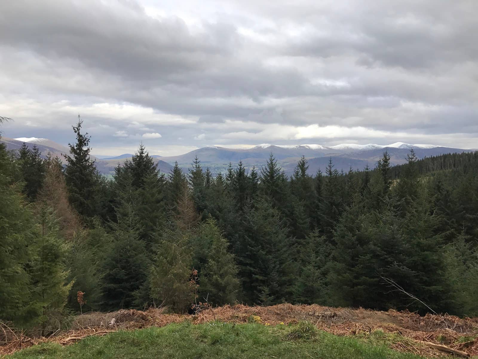 Go Ape Adventure