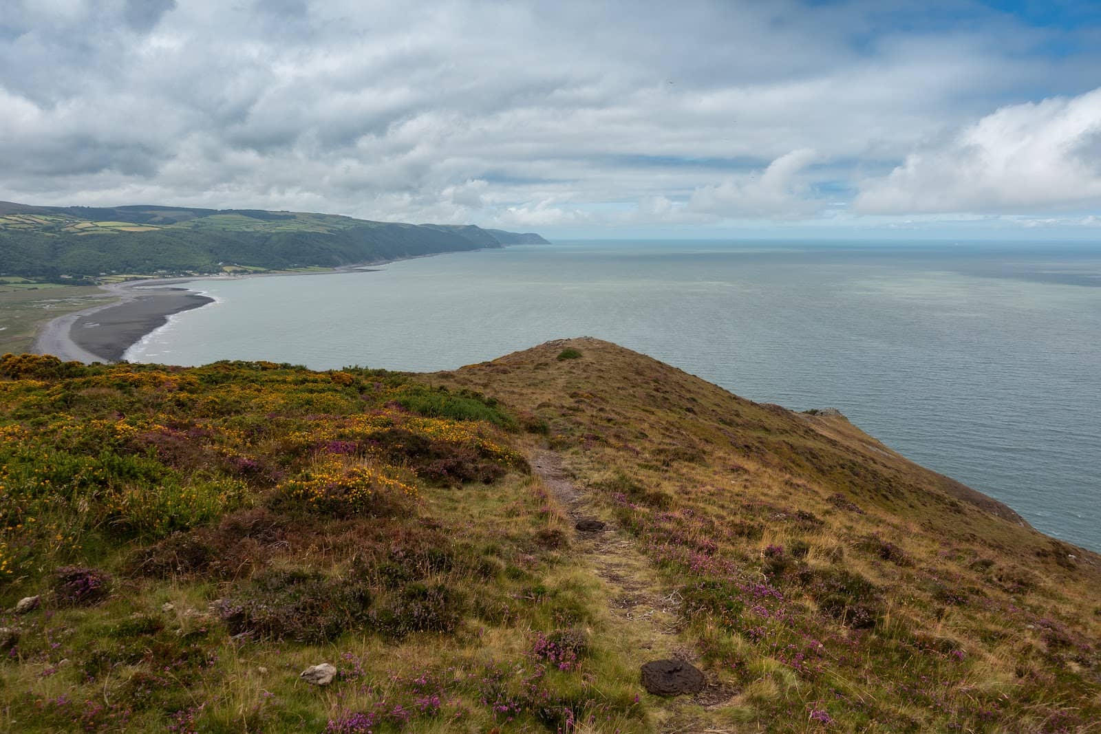 Exmoor Pony Encounters