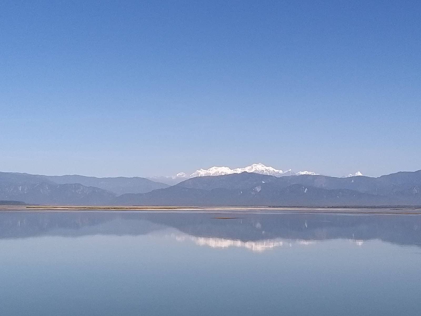 Migratory Bird Haven