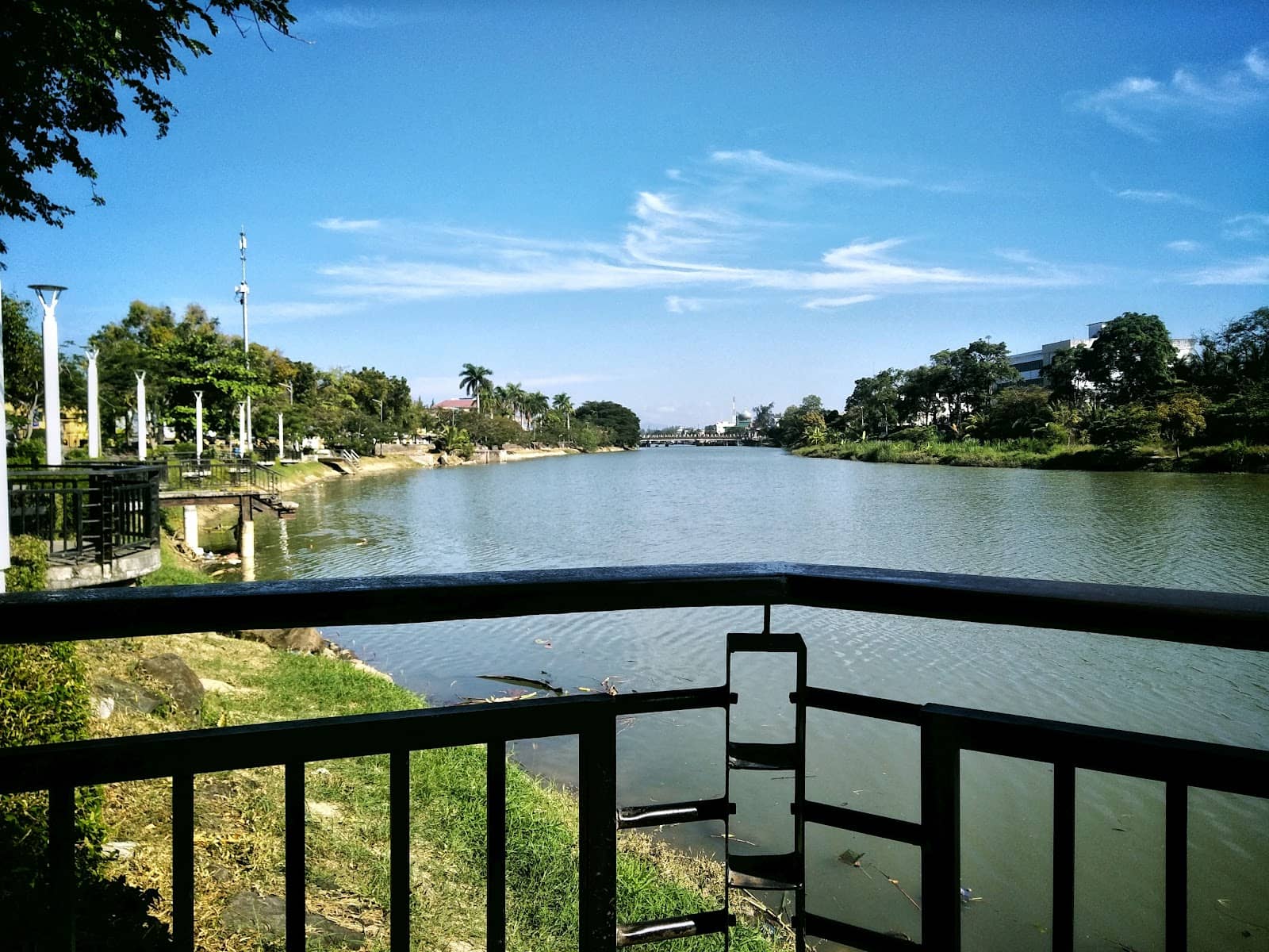 Green Oasis in the City
