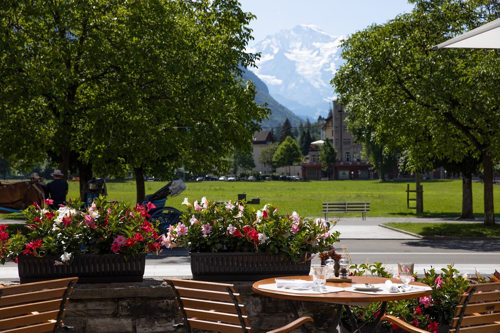 Victoria Jungfrau Grand Hotel Interlaken - Image 1