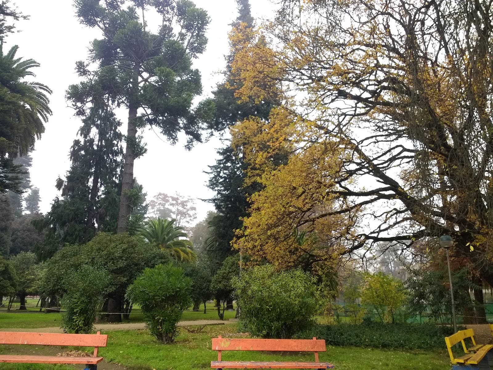 Jardín Botánico Universidad de Concepción - Image 1