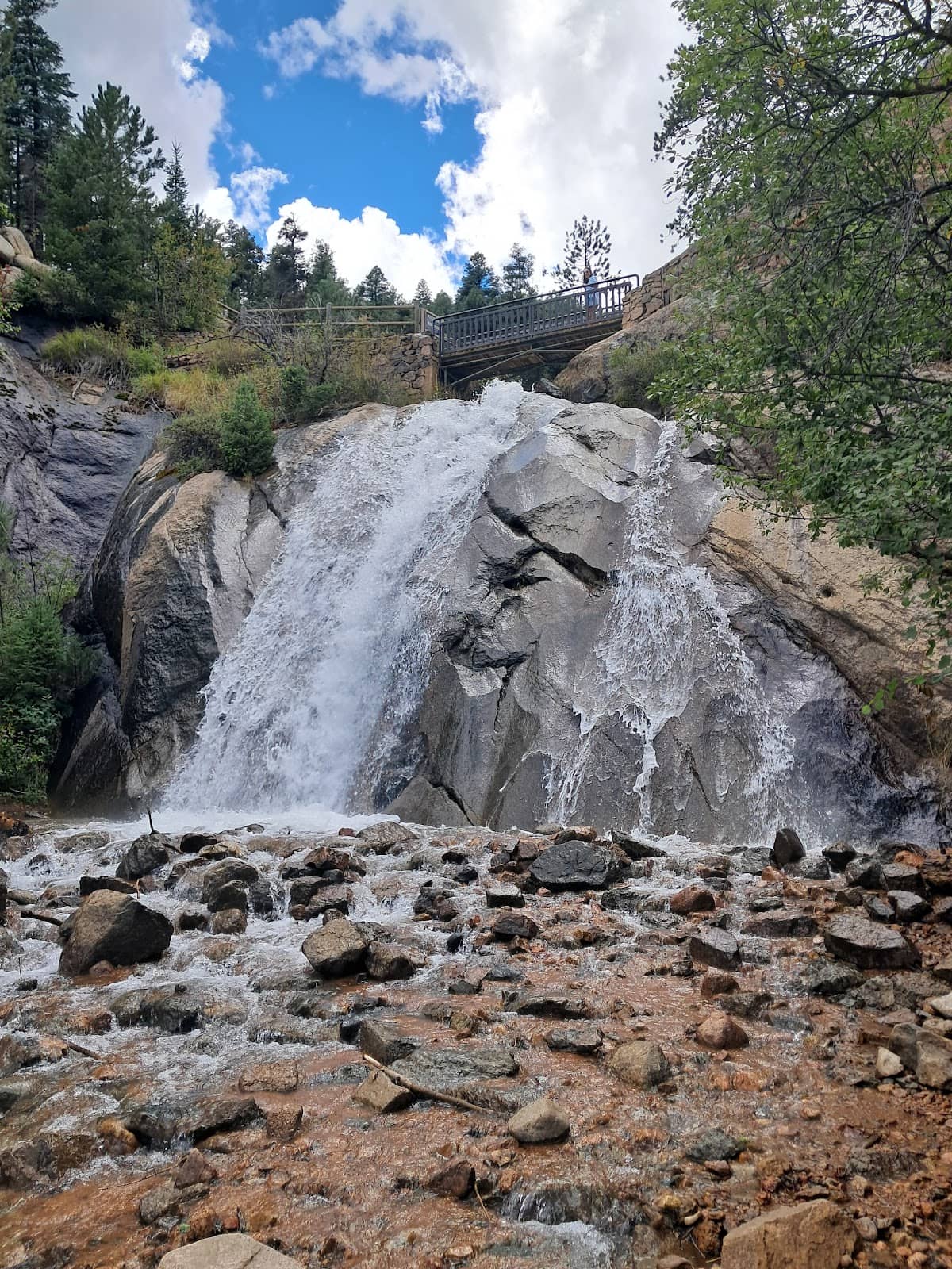 Vertical photo