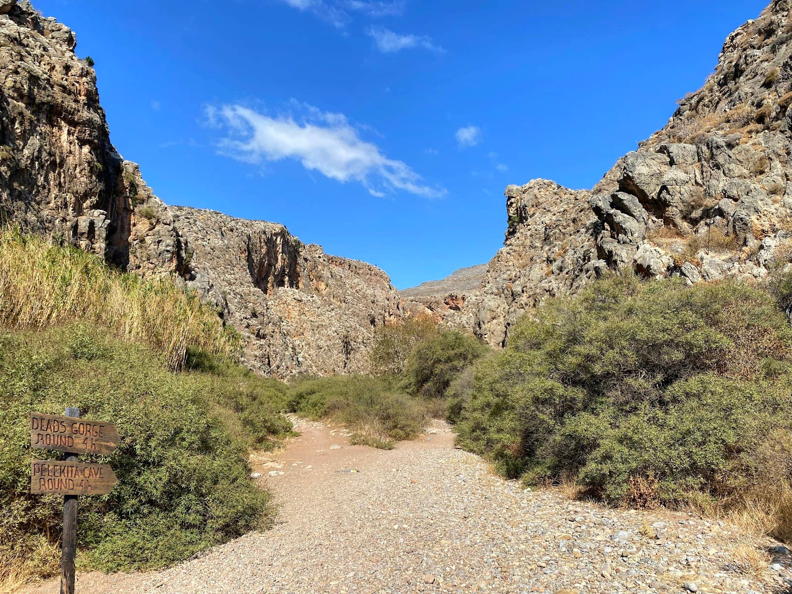 Gorge of the Dead