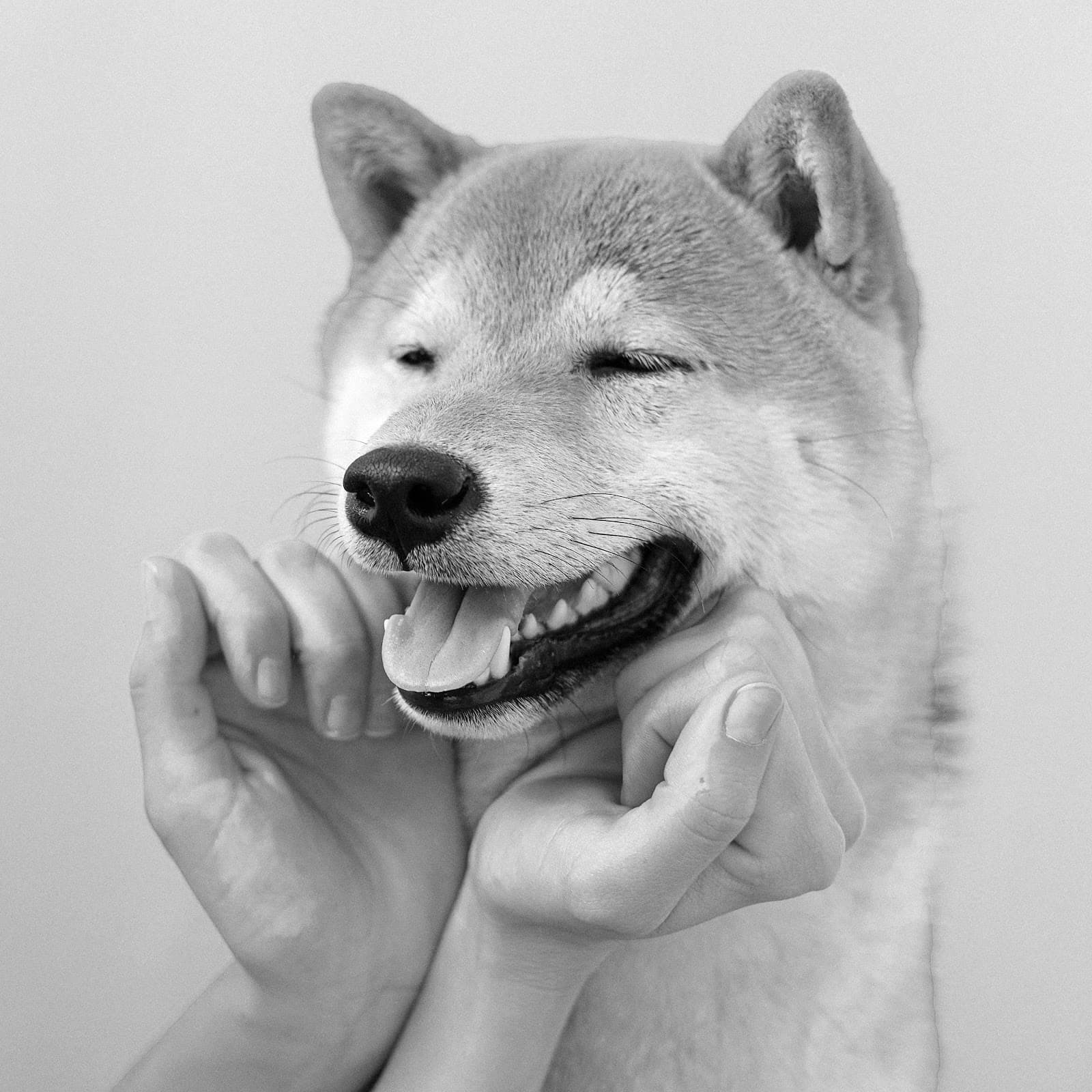 Puppy Yoga Paris - Image 1