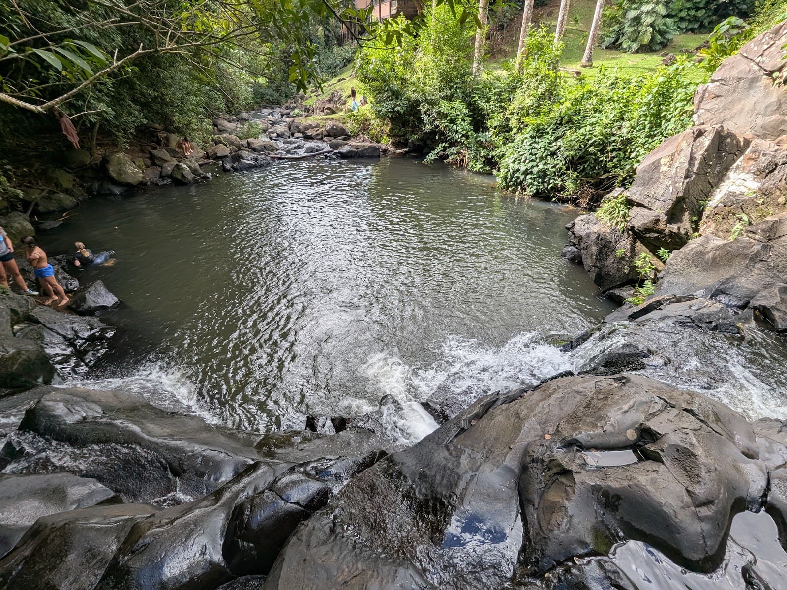 Judd Trail & Jackass Ginger Pool Honolulu - Image 1