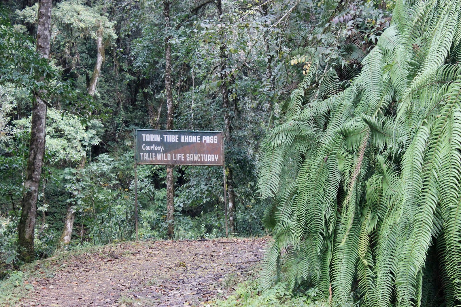 Talley Valley Wildlife Sanctuary Ziro - Image 1