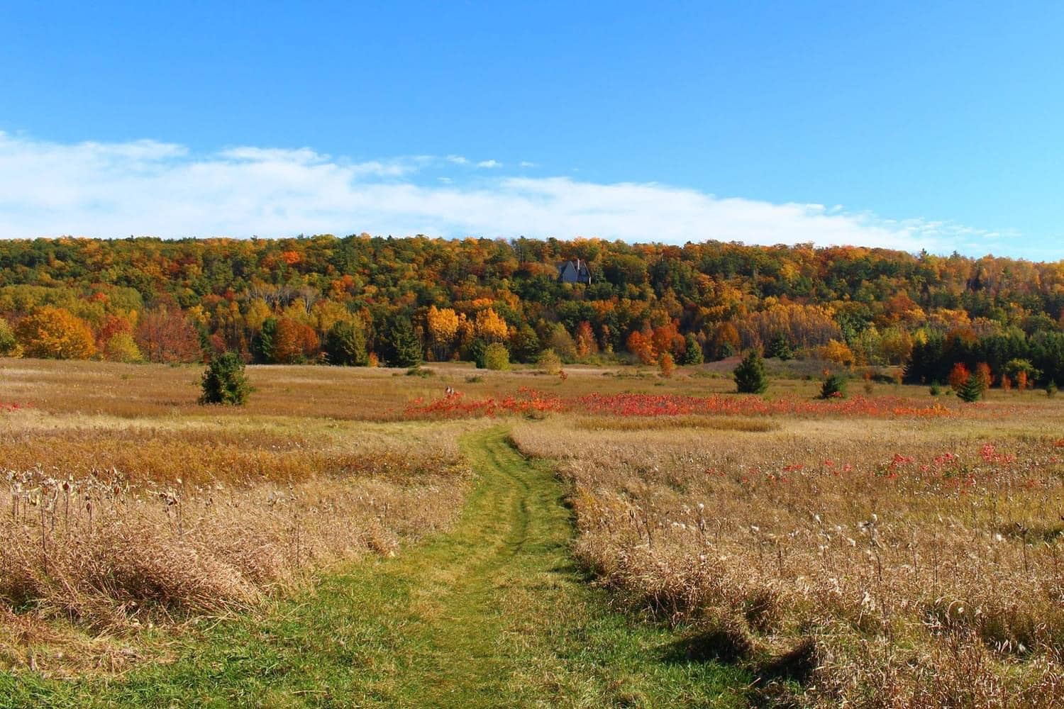 Peaceful Prairie Trails