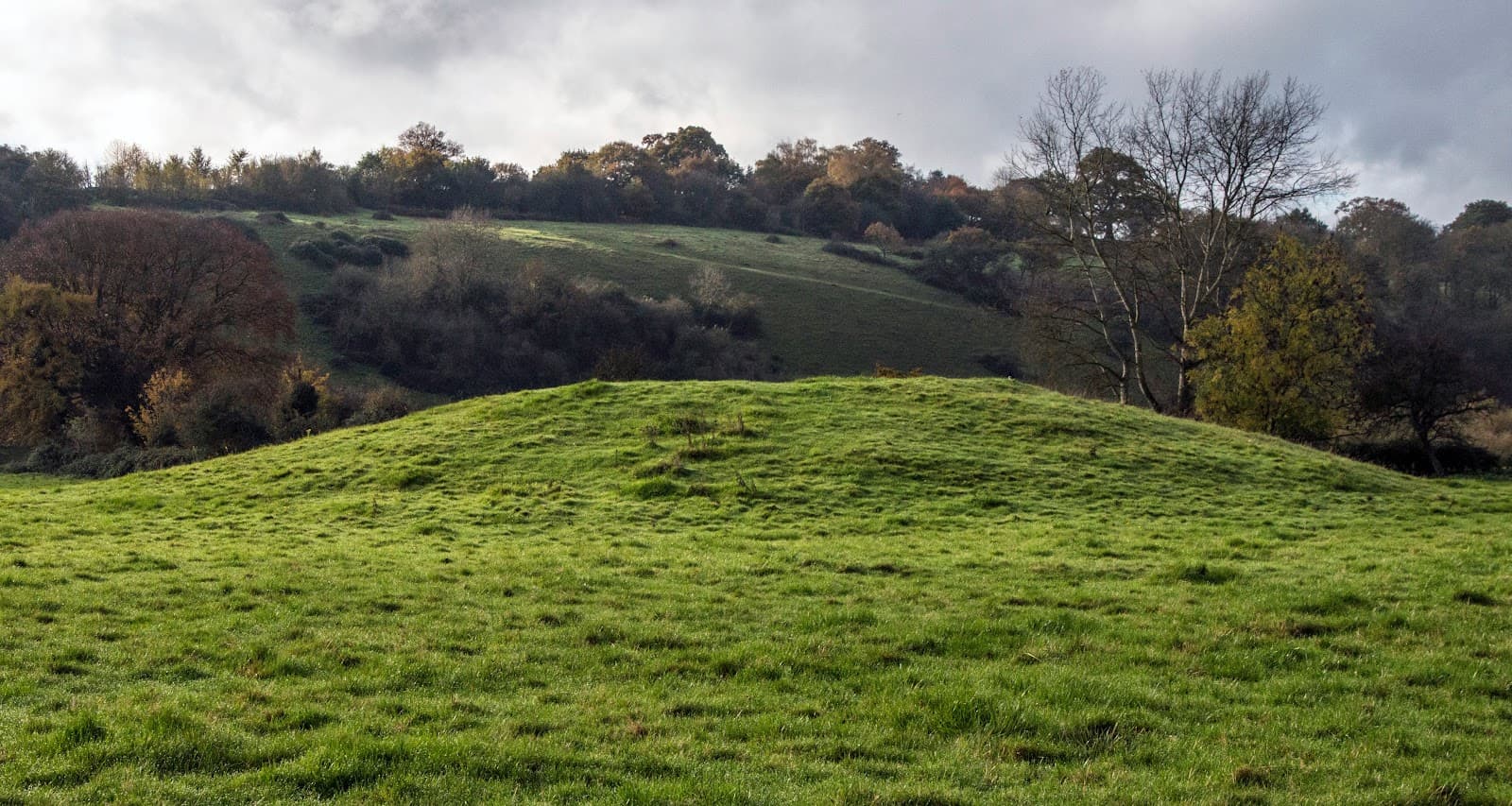 Cock Marsh - Image 1