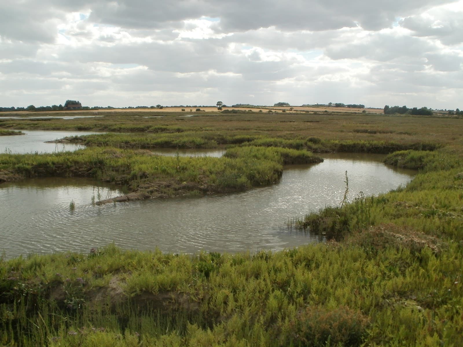 Hamford Water National Nature Reserve - Image 1