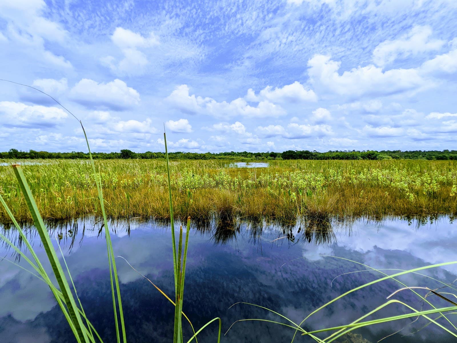 Lake Woodruff National Wildlife Refuge - Image 1