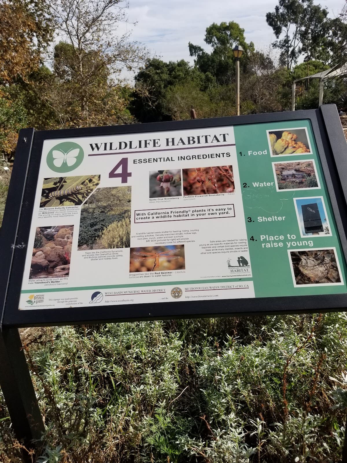 Manhattan Beach Botanical Garden - Image 1