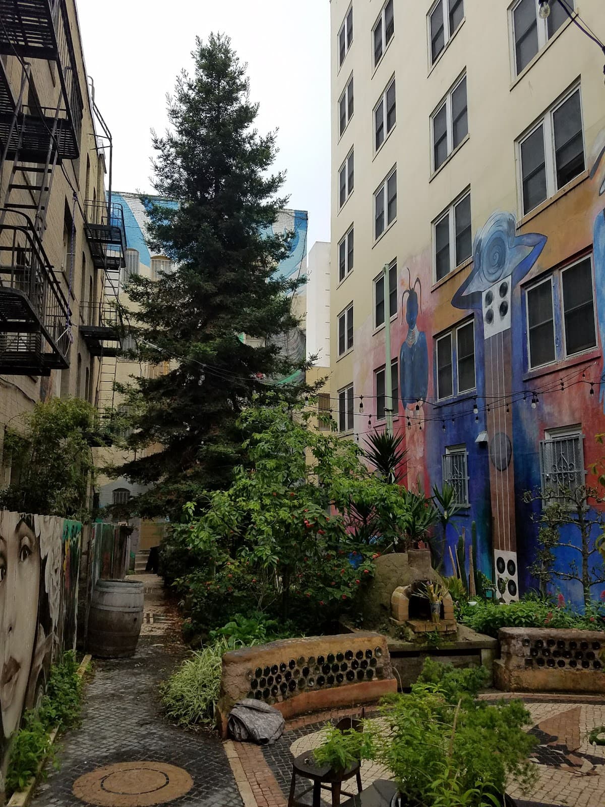 Tenderloin National Forest San Francisco - Image 1