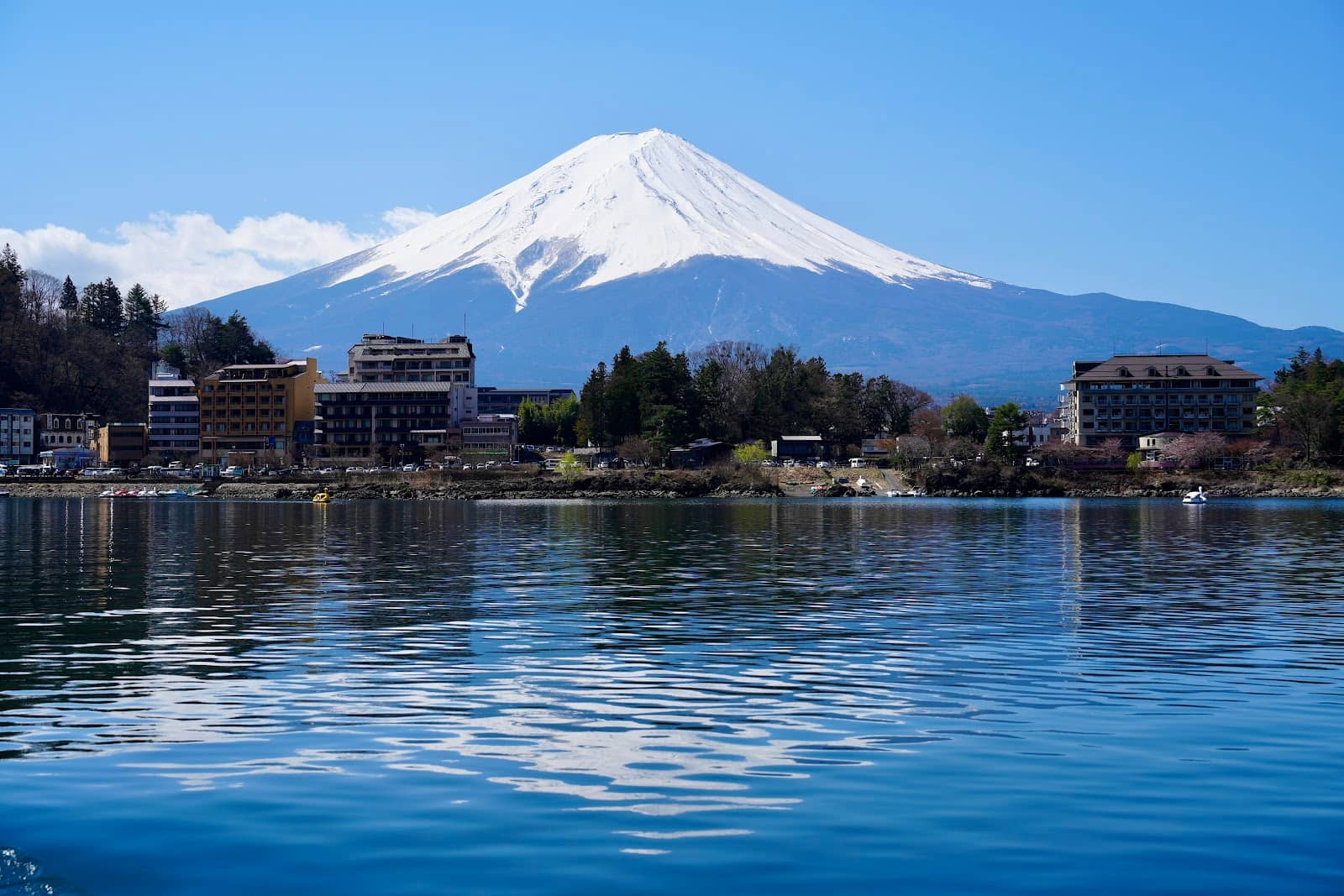 Sunset or Sunrise Cruise