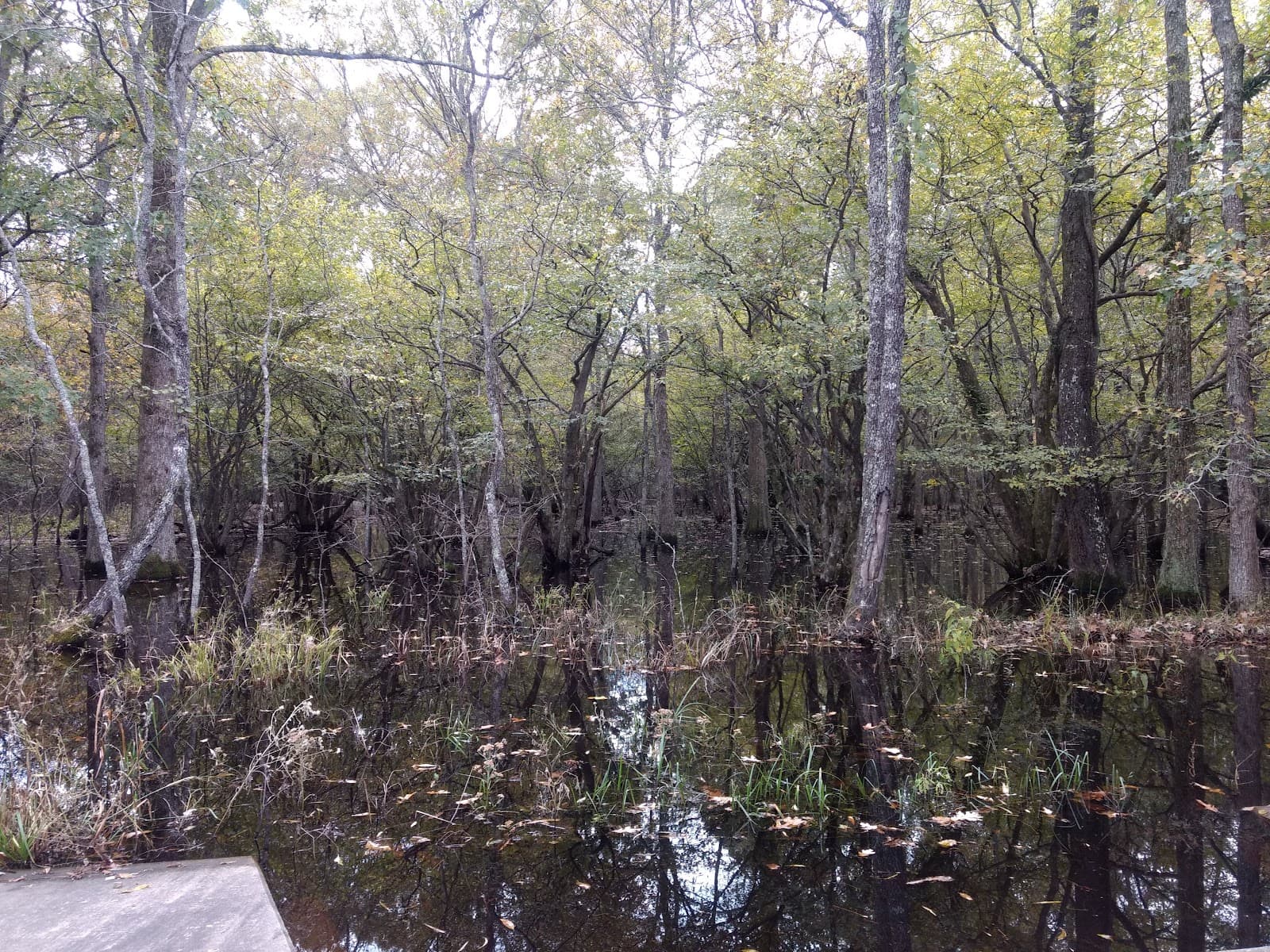 Little River National Wildlife Refuge - Image 1
