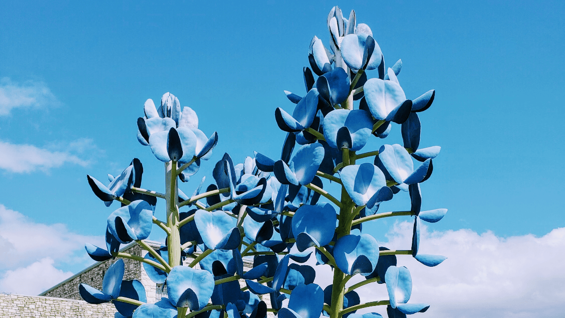 Burnet County Courthouse - Image 1