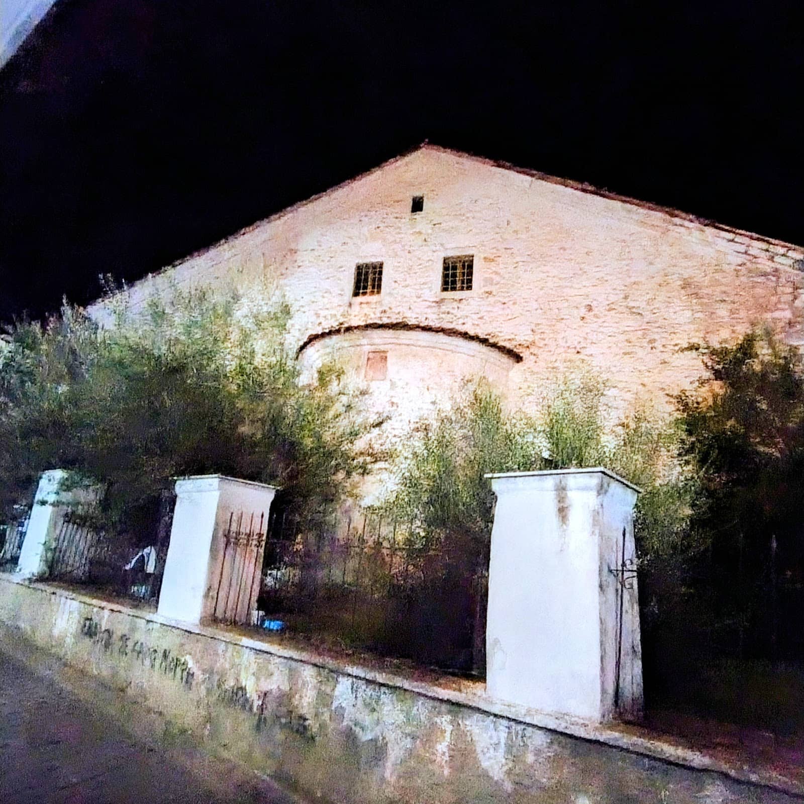 Vertical photo