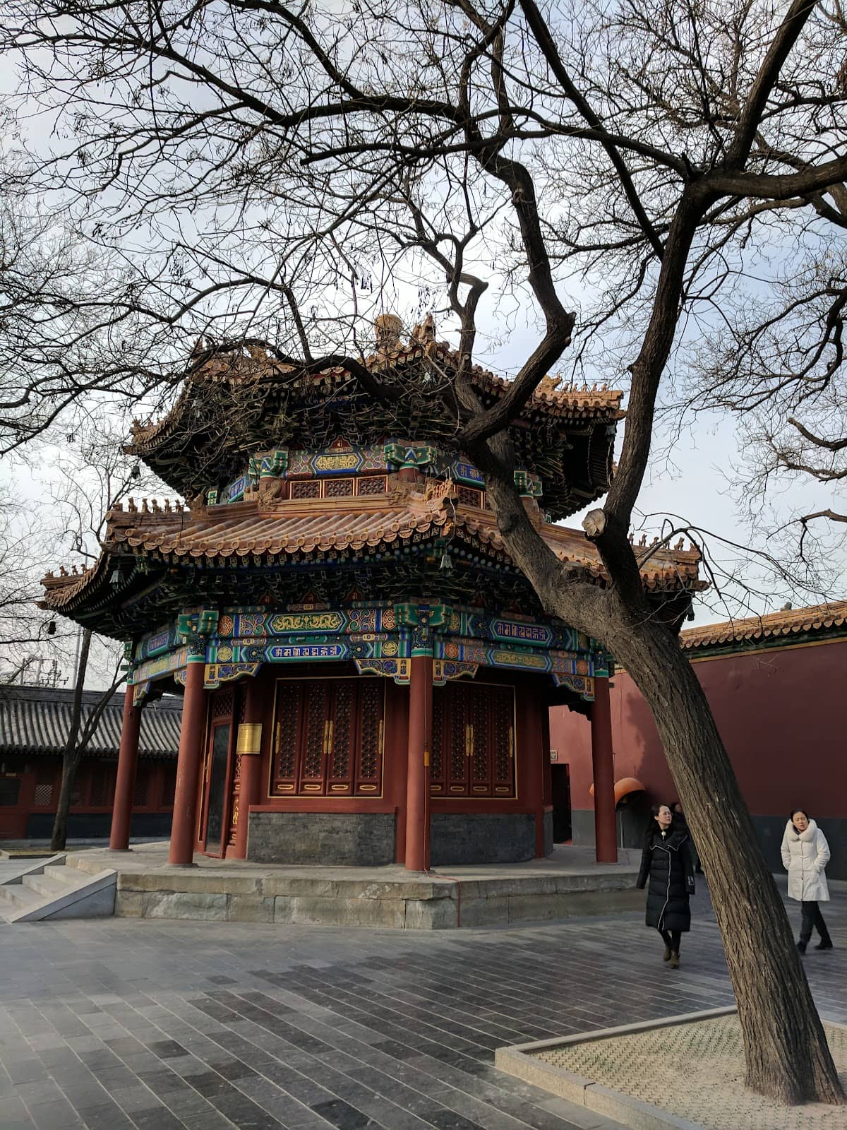 Vertical photo