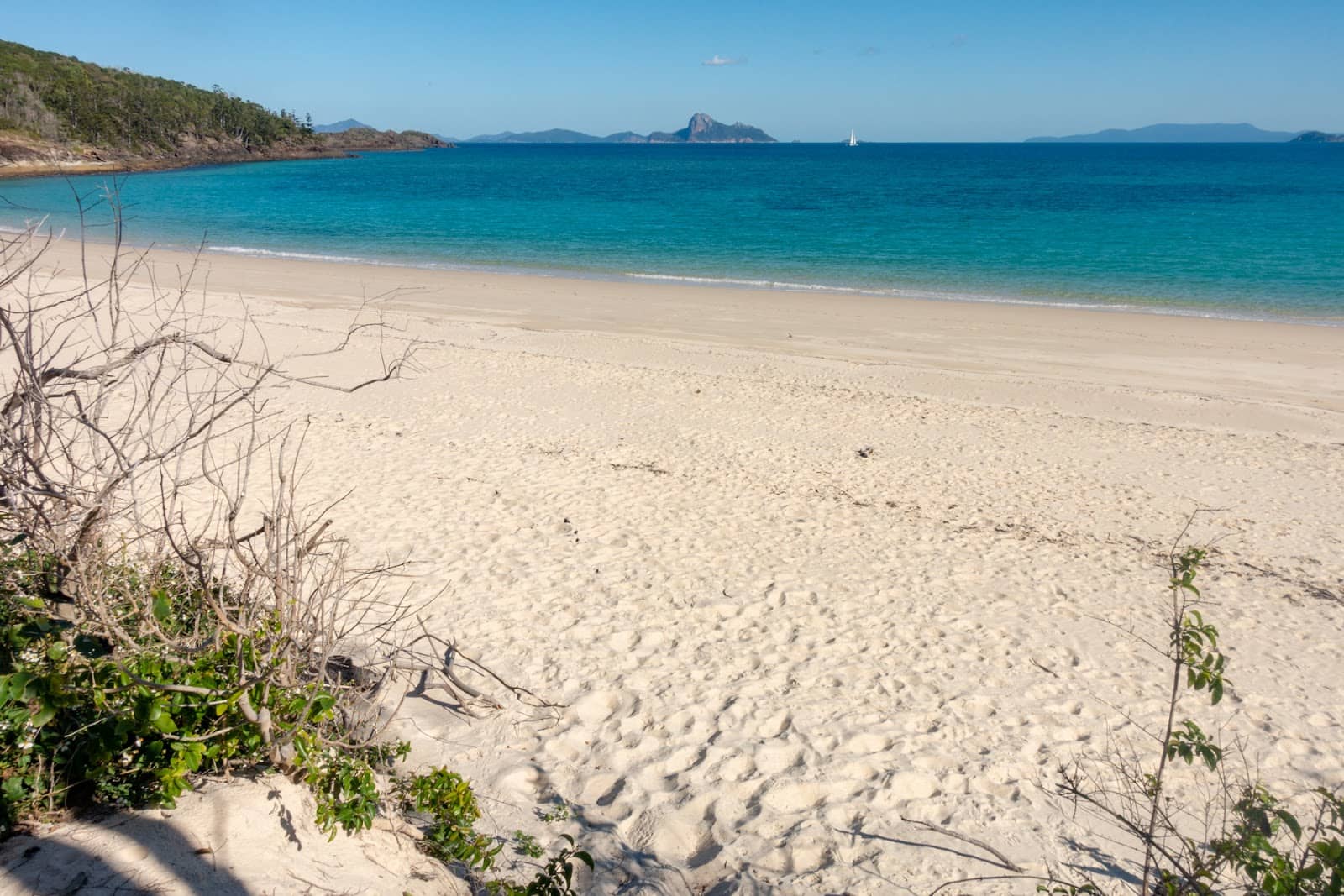 Abundant Marine Life