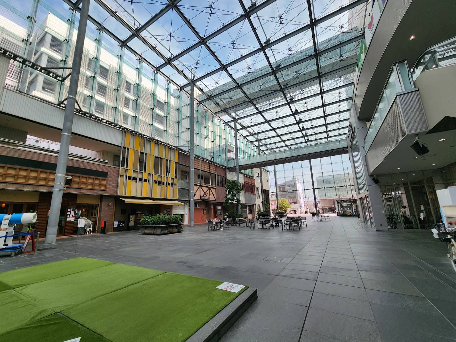 Live Music & Performances