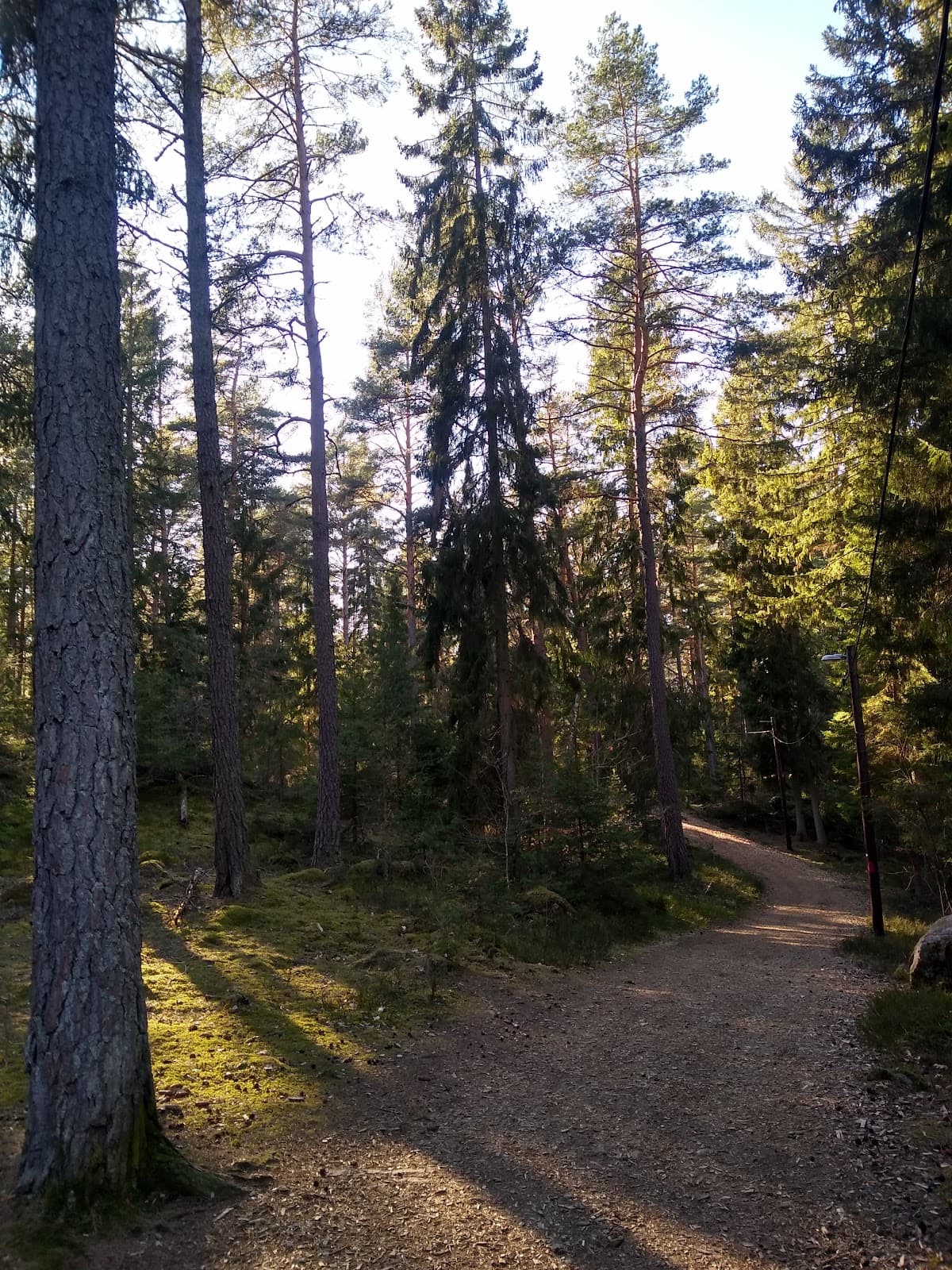 Vidingsjöskogen Outdoor Area - Image 1