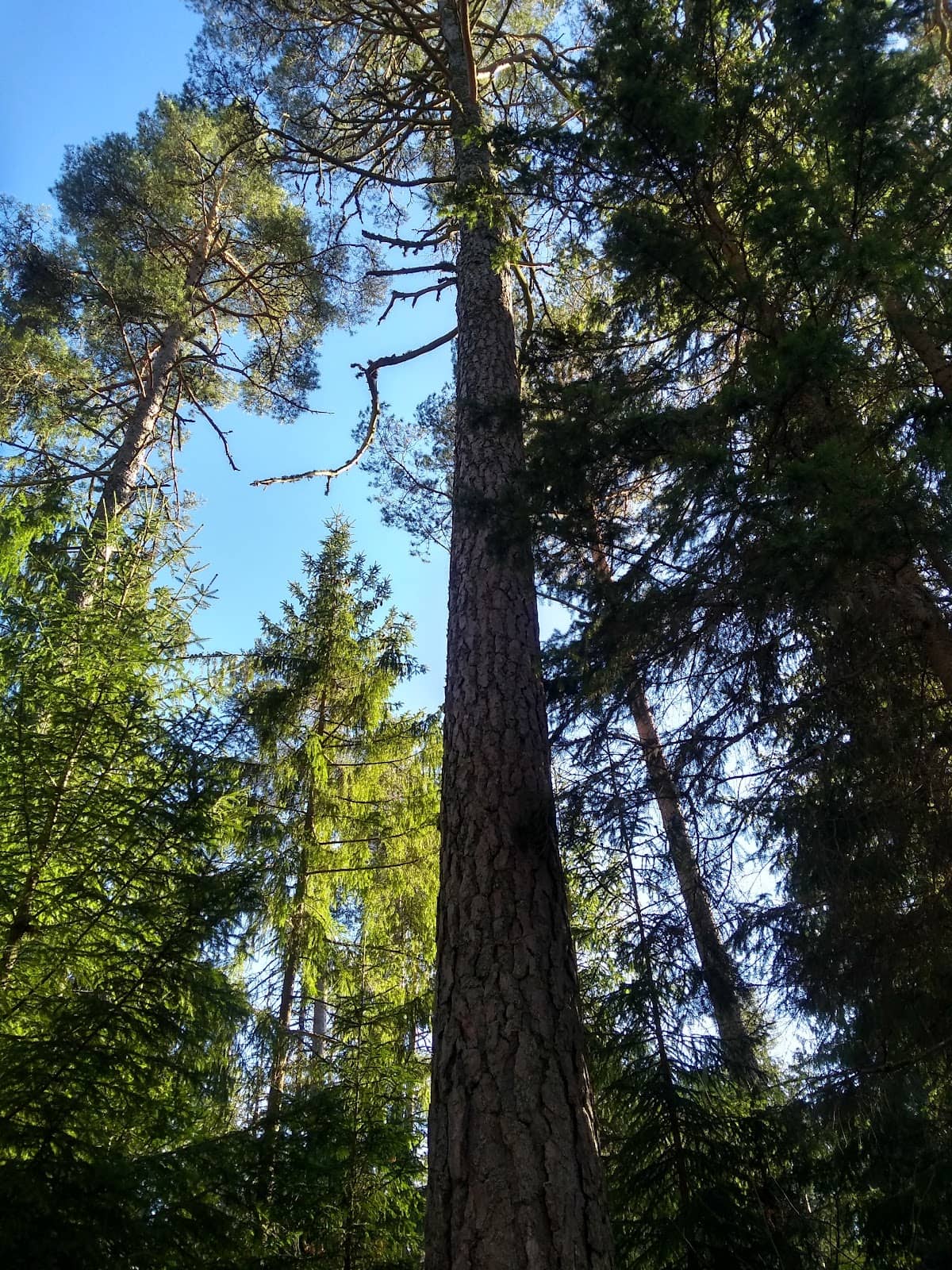 Vertical photo