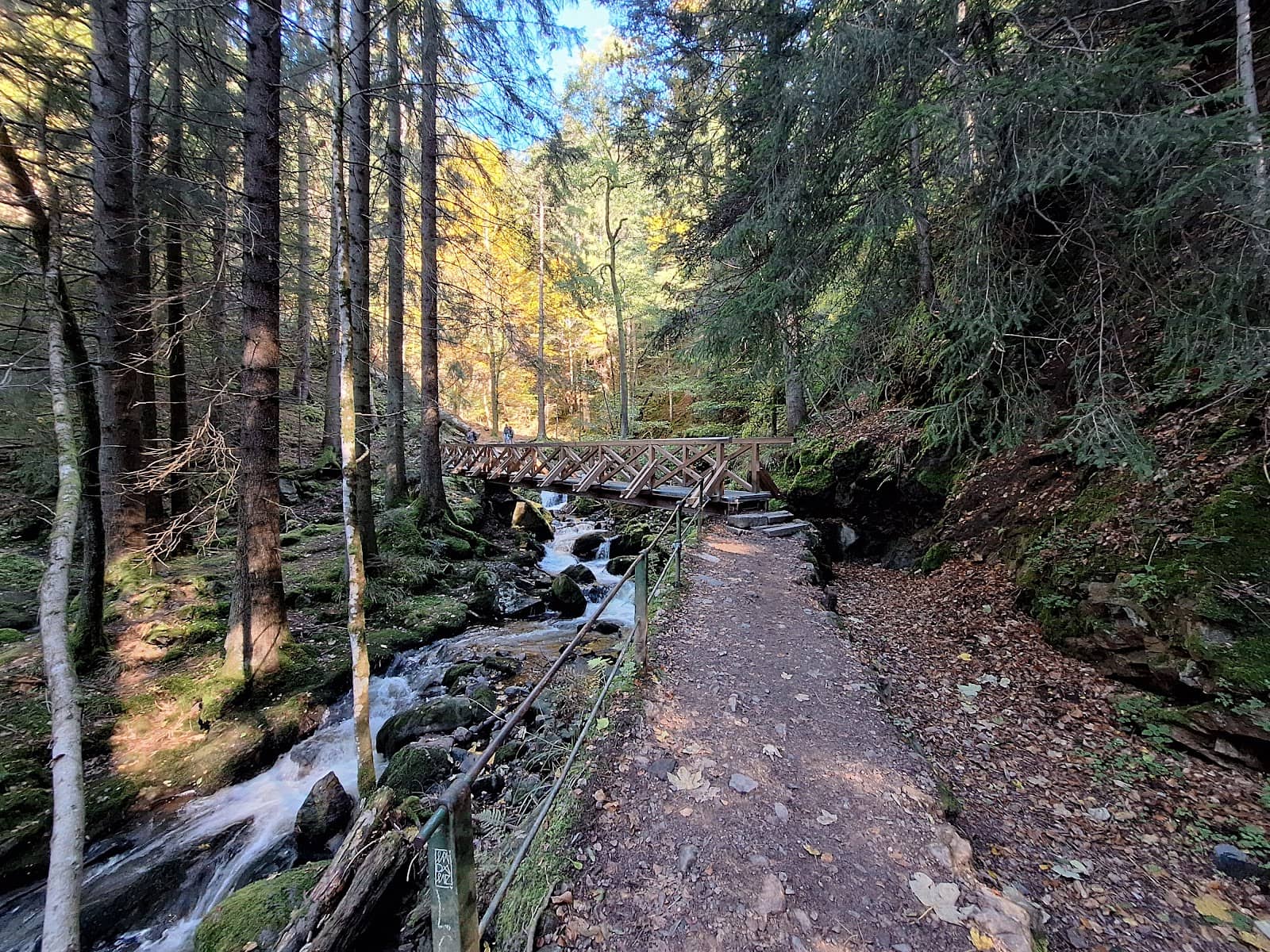 Ravenna Gorge Hiking Trails