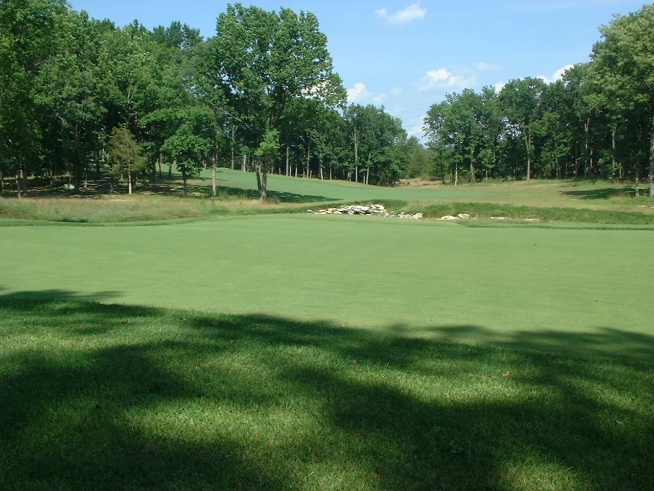 Lush, Thick Rough