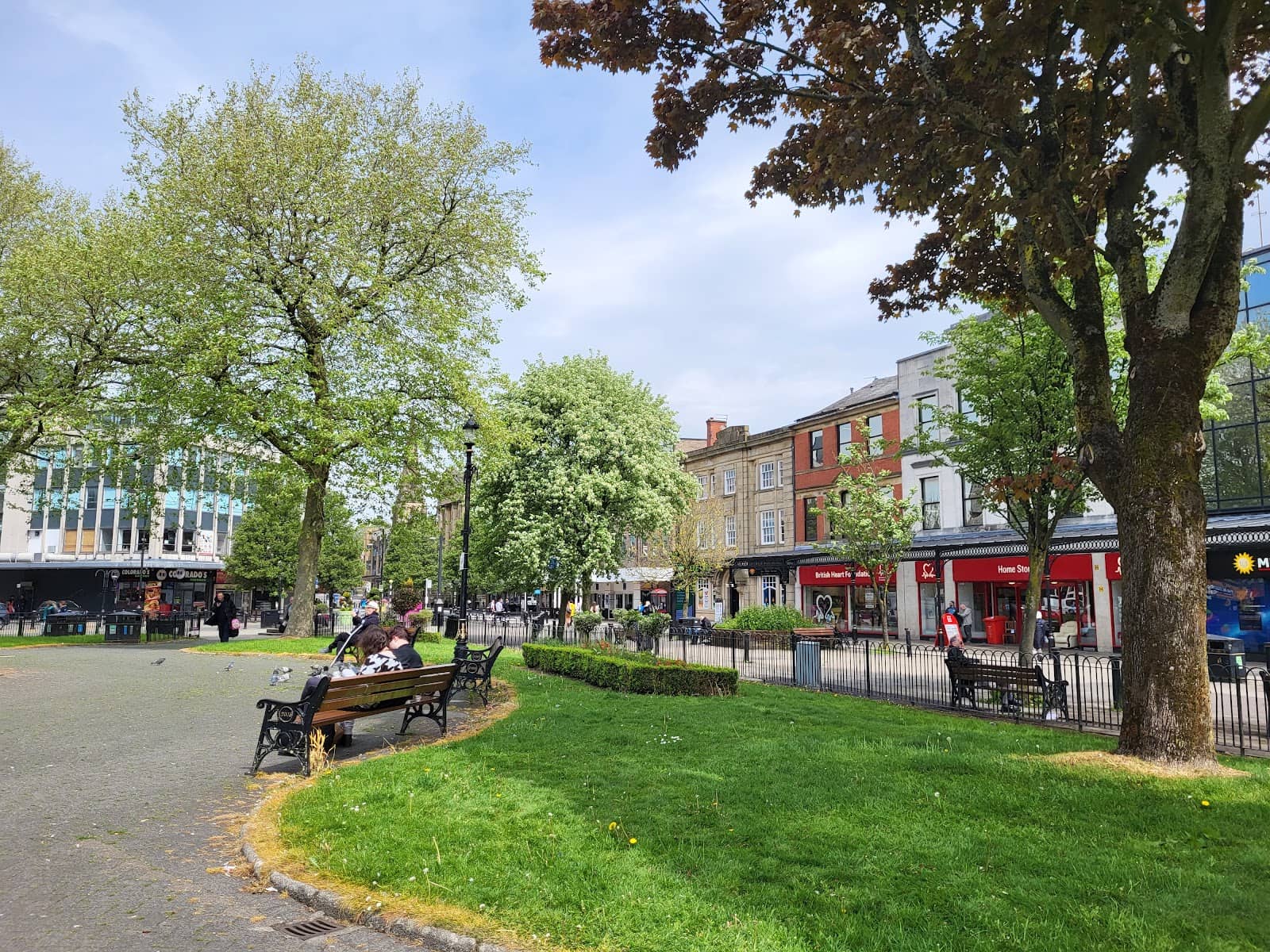 Park Benches for Reflection