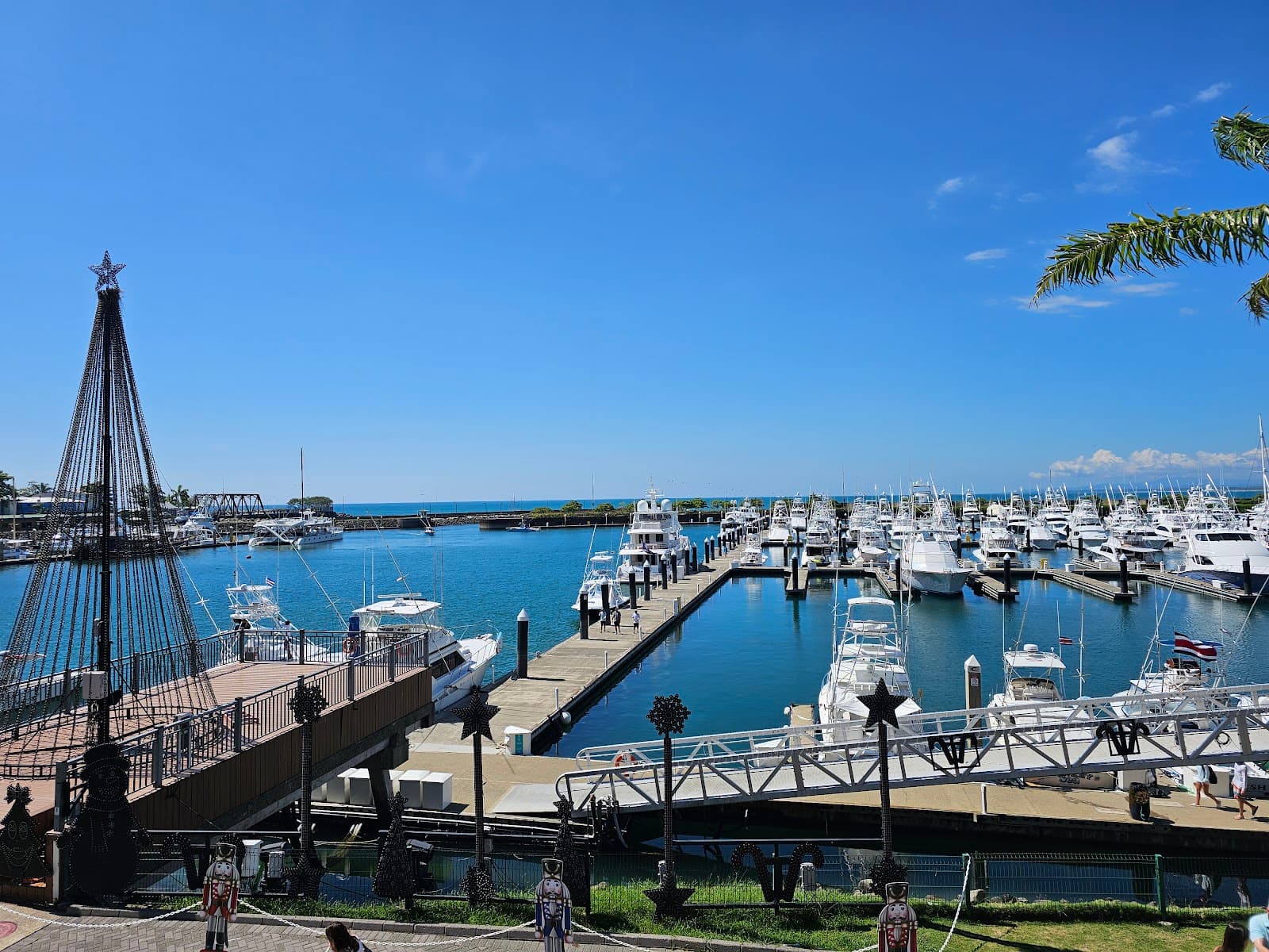 Marina Pez Vela - Image 1