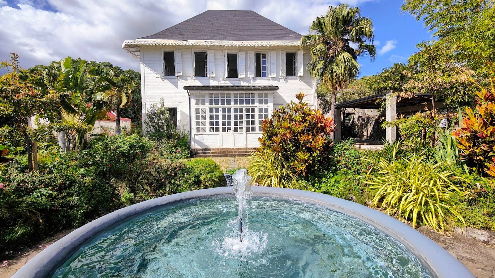 Photography Collections