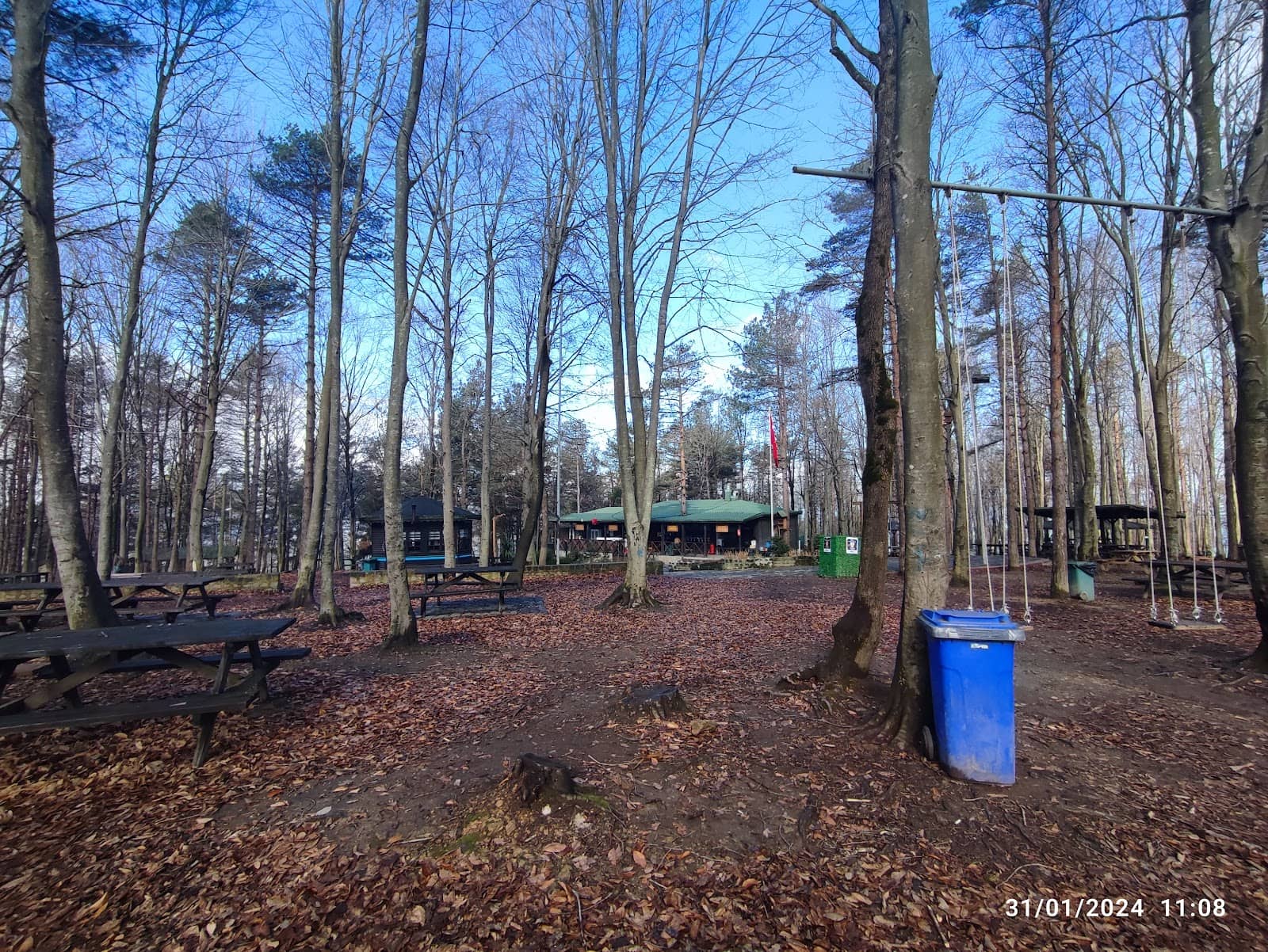 Family-Friendly Picnic Spots