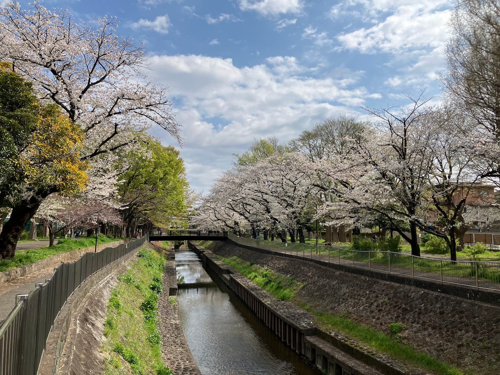 Zenpukuji River Green Park - Image 1